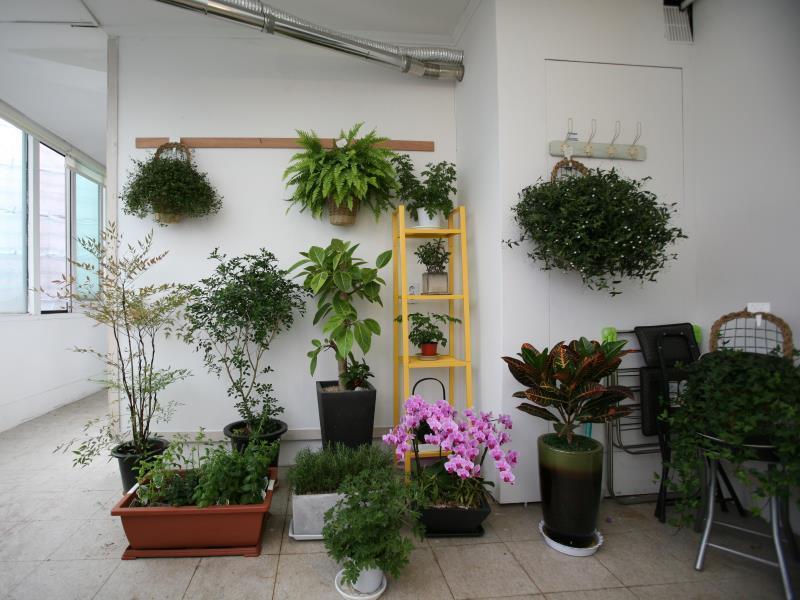 Lian Guesthouse Seul Dış mekan fotoğraf